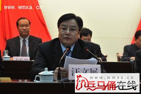 ��ί����ǡ���������չ���ֻ���