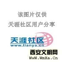 ����Ӣ�Ϲ���С������