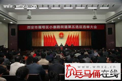 ���������쵼�μ����˴��������ѡ��ͶƱ ����ɶ���������