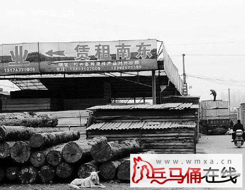 Զ��ľ���г��𻼲����Բ����� ���һ����ȻӪҵ