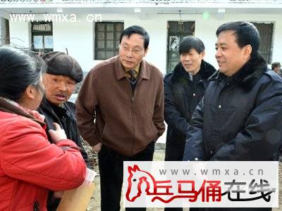 �����������ɽ������ο������Ⱥ��