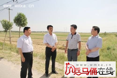 �����Ӱ�ƽ����ʵ�ؼ��μ���ְ조���ġ�����