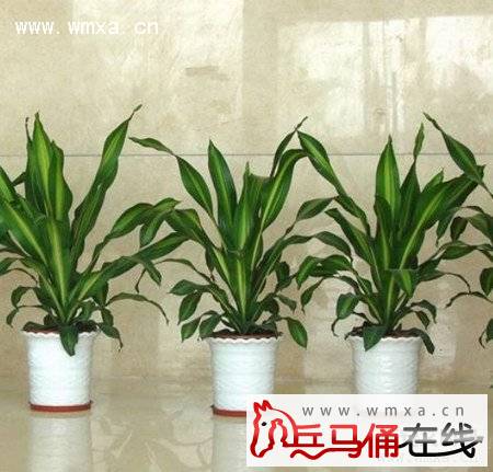 Ҳ��������ֳ������ע������ Ҳ���������ü��