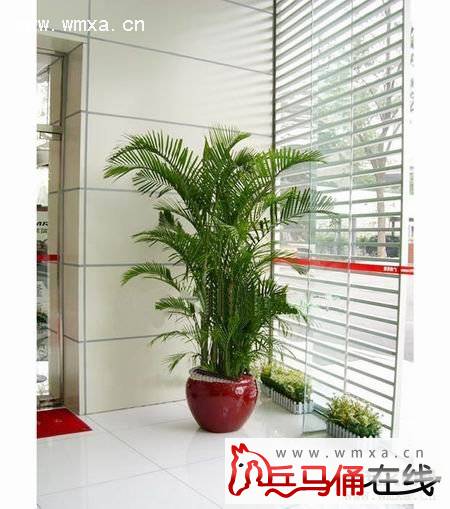 ɢβ��Ҷ�ӷ�����ô�� ɢβ���ͷ�β�������