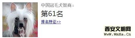 �й���ëȮ��ô�� �й���ëȮ���̸���