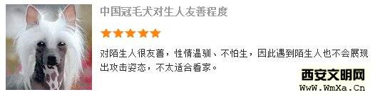 �й���ëȮ��ô�� �й���ëȮ���̸���