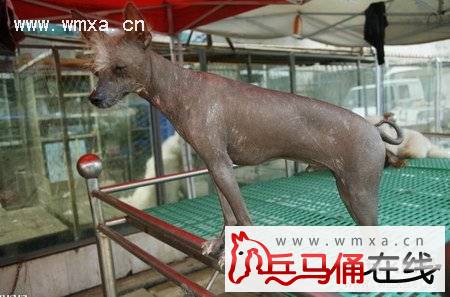 �й���ëȮ��ô�� �й���ëȮ���̸���