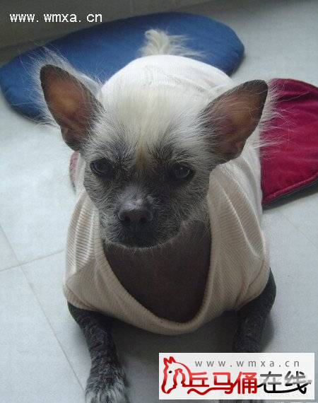 �й���ëȮ��ô�� �й���ëȮ���̸���