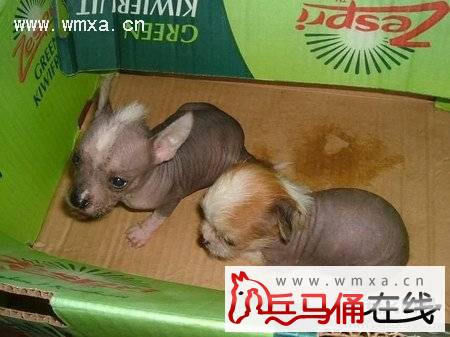 �й���ëȮ��ô�� �й���ëȮ���̸���