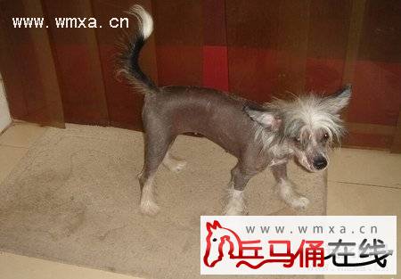 �й���ëȮ��ô�� �й���ëȮ���̸���