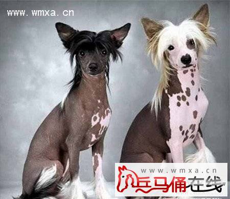 �й���ëȮ��ô�� �й���ëȮ���̸���