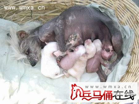 �й���ëȮ��ô�� �й���ëȮ���̸���