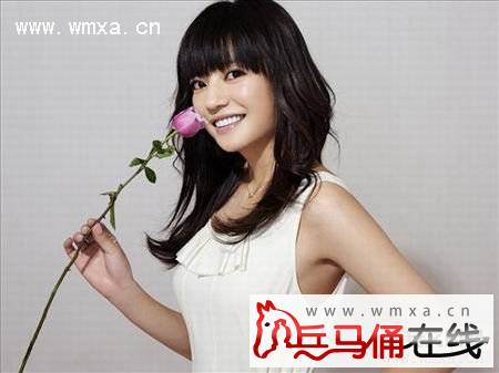 赵薇吸毒被抓照片事件是真的吗 赵薇及老公黄有龙个人资料简介