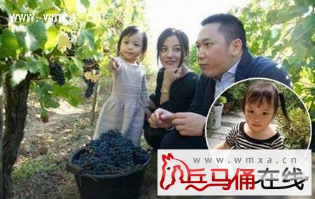 ��ޱ������ץ��Ƭ�¼�������� ��ޱ���Ϲ��������������ϼ��