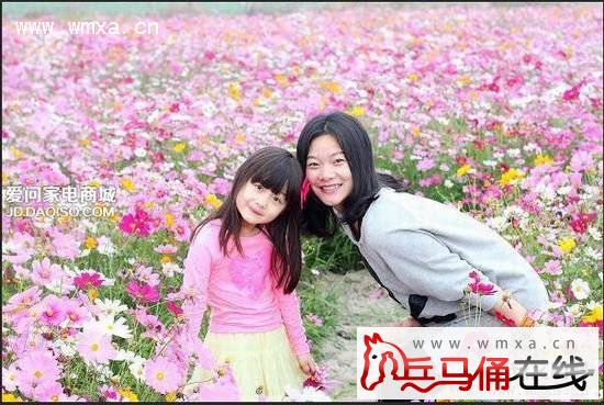 ����������߼��˺���ĸ��˭ ���˺�������Ա�ͼ����ɵɵ�ֲ����