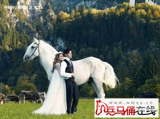 周杰伦昆凌婚纱照多图片 周杰伦个人资料及家庭背景简介