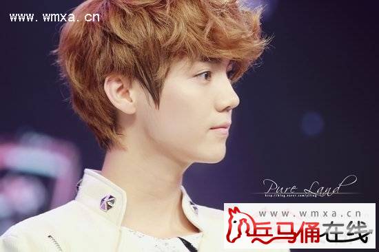 鹿晗整容前后照片对比曝光 鹿晗个人资料及家庭背景简介