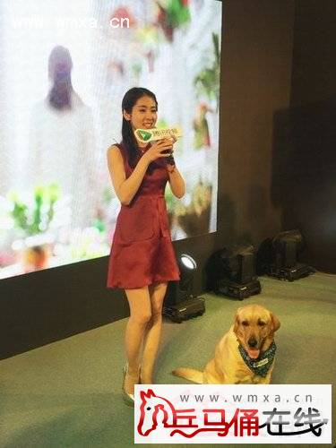 �й��������ű̳�����ǰ����Ƭ�Ա� �ű̳��������ϼ���ͥ�������