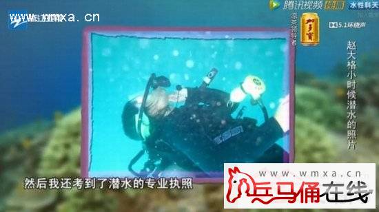 ���й����������Դ���sugar��������ͥ��������