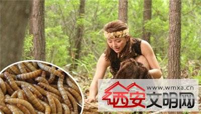 ��С�ٳ������������� ��Ŀ���Ӧ�������ϵ�����Ӫ���ḻ