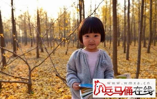 赵子琪老公女儿照片 赵子琪老公路金波与前妻王蕾同房是怎么回事