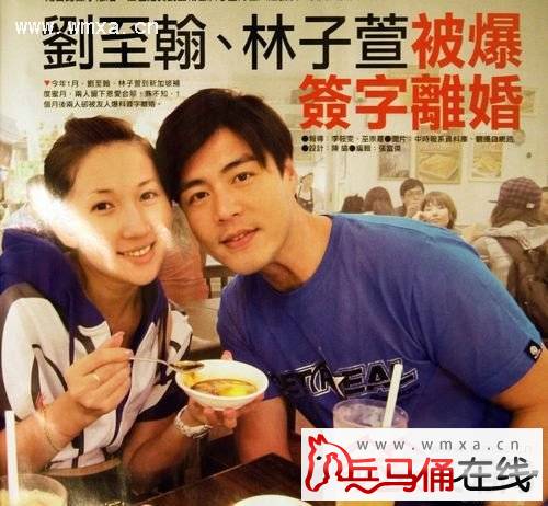 刘至翰林子萱为什么离婚 刘至翰的现任女友是