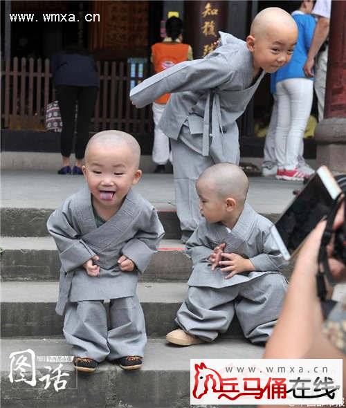 成都现呆萌小沙弥 身着灰色小僧衣理小光头萌