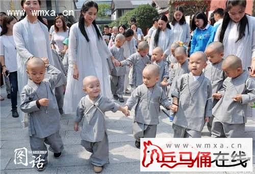 成都现呆萌小沙弥 身着灰色小僧衣理小光头萌