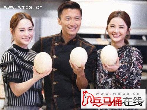 《十二道锋味3》谢霆锋Twins有爱互动 阿Sa展