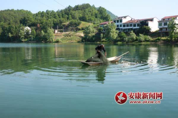 ��Ӱ ������.jpg