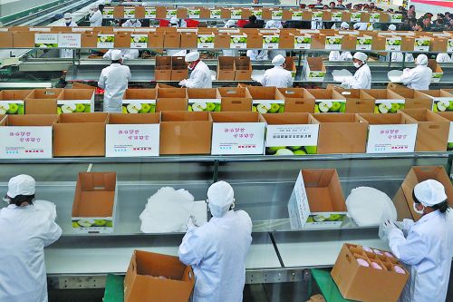 �ִ�����������