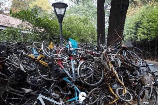 高校堆积僵尸单车成山 如何处理成一大社会难