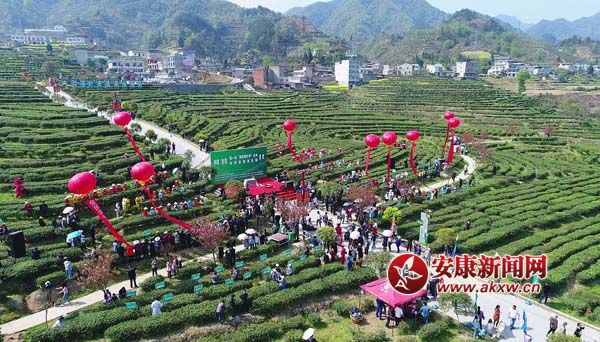 �����迪԰��ʽë�� �� (4).jpg