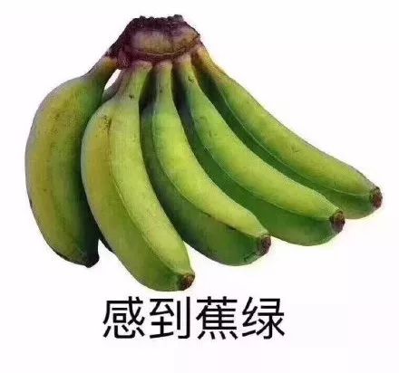 台风路径实时发布系统 第4号艾云尼台风最新消