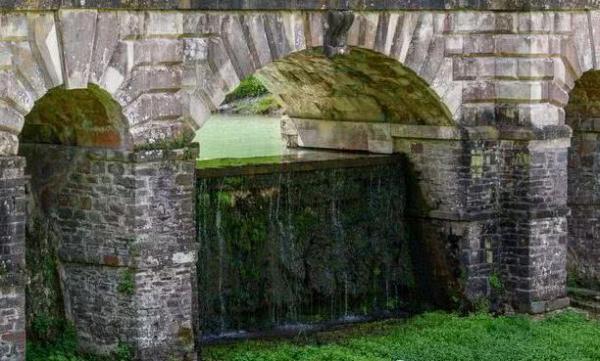 小龙虾围攻英水坝 当局称将花费1900万治理_