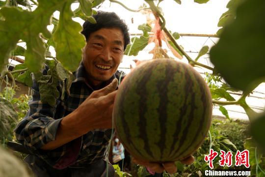 特色产业助力拉萨脱贫攻坚