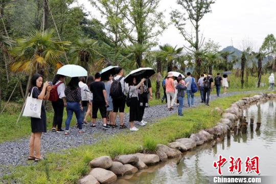 鲁家村美景 王士威 摄