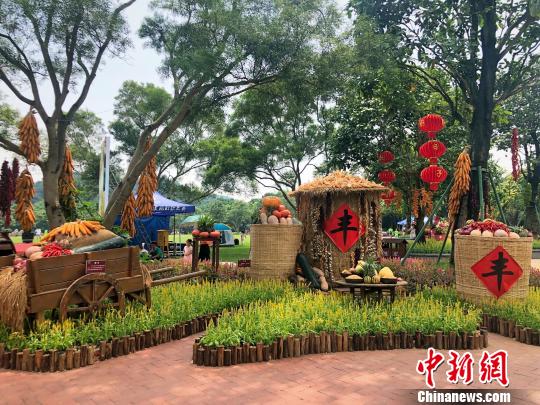 图为蔬菜、农具与园林植物相结合组合成的园林小品。 吴鑫 摄