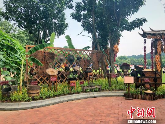 图为蔬菜、农具与园林植物相结合组合成的园林小品。 吴鑫 摄