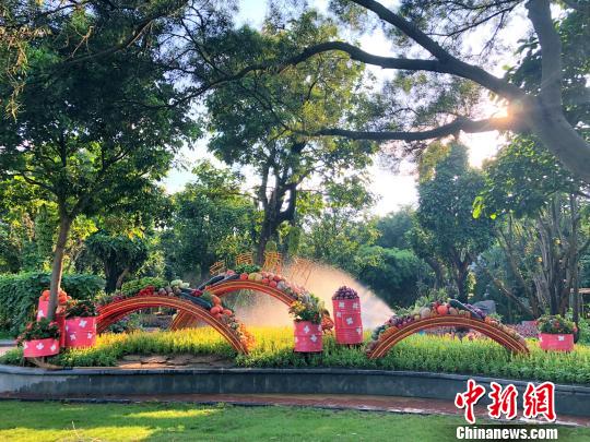 庆祝农民丰收节南宁青秀山开启金秋丰收狂欢