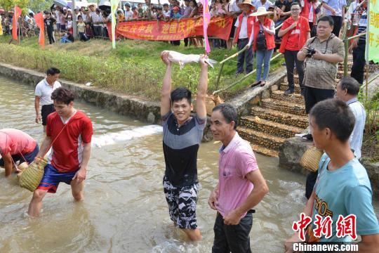 抓鱼比赛 龙许 摄