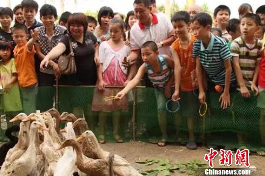 抛圈套鸭 星湖 摄