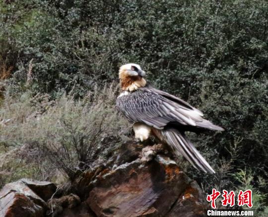 ͼΪ׽-ٹڼ㵽ĺأաղ 