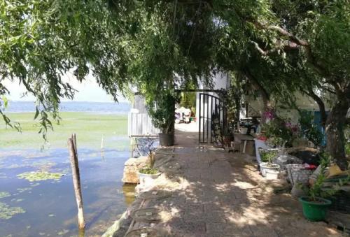 大理市双廊镇双廊村某客栈侵占洱海湖滨带图1 大理市双廊镇双廊村某客栈侵占洱海湖滨带