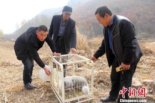 ���������� ����Ԫ ��