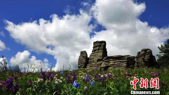 ͼΪΩΩФĿʲʯ󡣳ηչίԱṩͼ