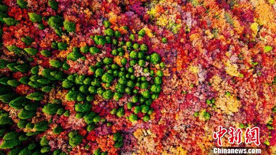 ӡӵȸľ½ϲװ졢Ҫˮɫǵ⣬߲ŨױزʵͻǮ 