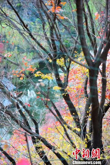 ڶοֳ֡ǹڡ洦ţ׽һͼ 