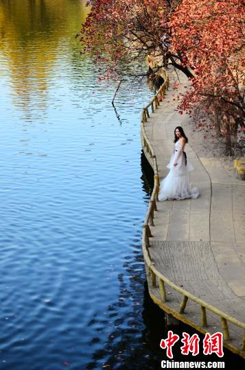 ںҶȷ羰ڵѤϣĺˮӳŽķķҶڶڴĻɴգҸʱڴ˿̶񡣡 