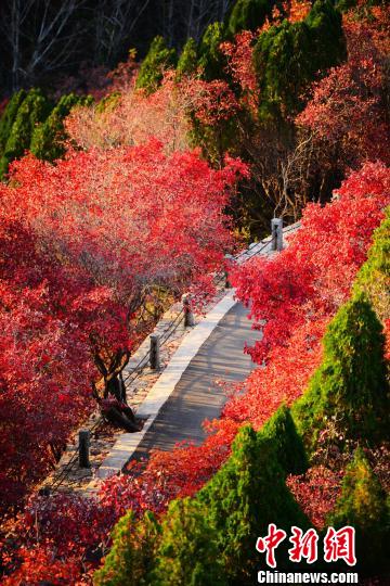 ǧĶҰȪˮ£Ҷһ·ӣ־Ⱦʮ׳ۣﾰɫؽϲɽС 